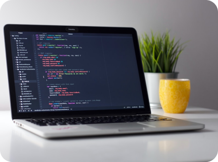 Web Development